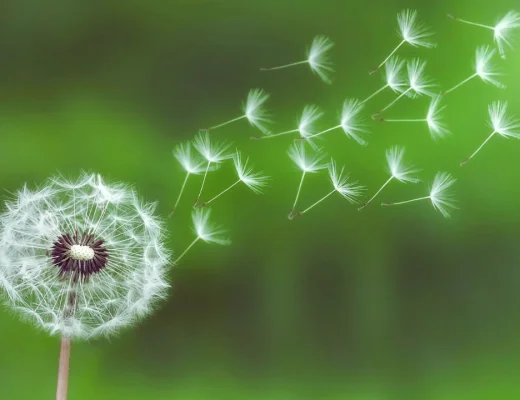 desapego, como soltar e confiar, abrir espaço para o novo, como deixar ir, o poder do desapego, soltar para receber, fluxo da vida, autoconhecimento, mudança de vida, libertação emocional, desenvolvimento pessoal, transformação interior, crenças limitantes, manifestação, lei da atração, podcast de autoconhecimento, episódio do Tudo é Cura